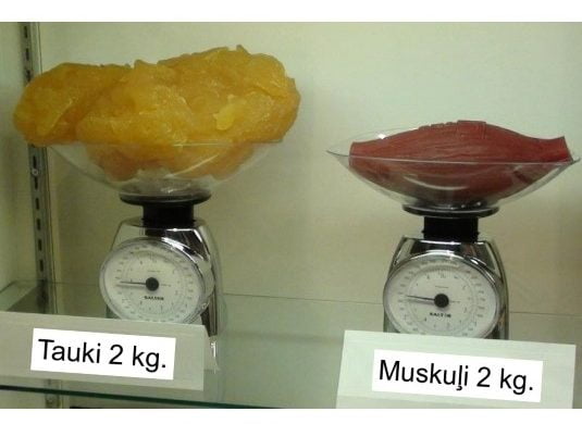 Ķermeņa tauku daudzuma noteikšana un novērtēšana